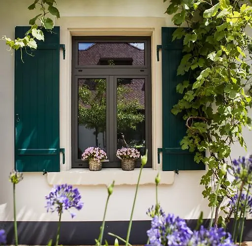 Loblocher Hof דירה Neustadt an der Weinstraße