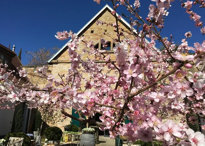 Loblocher Hof * Neustadt an der Weinstraße